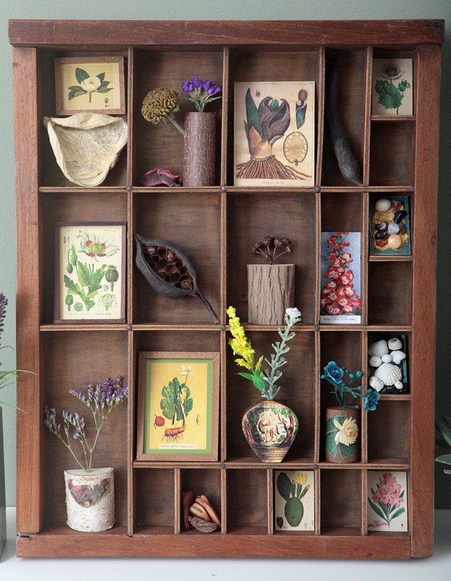 Antique printers type case re purposed and up cycled as a display of quirky items from the natural world