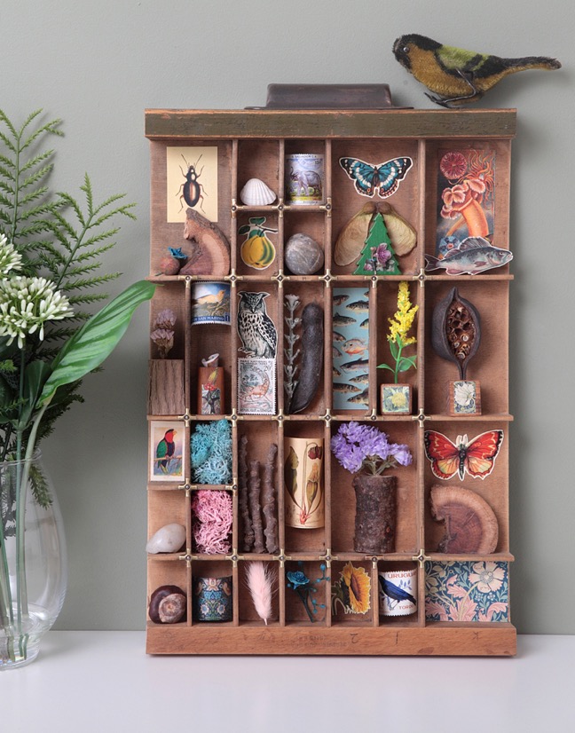 Great Cabinet of Nature Themed Curios in an old Antique Letterpress Type Case Printers Drawer Display Case