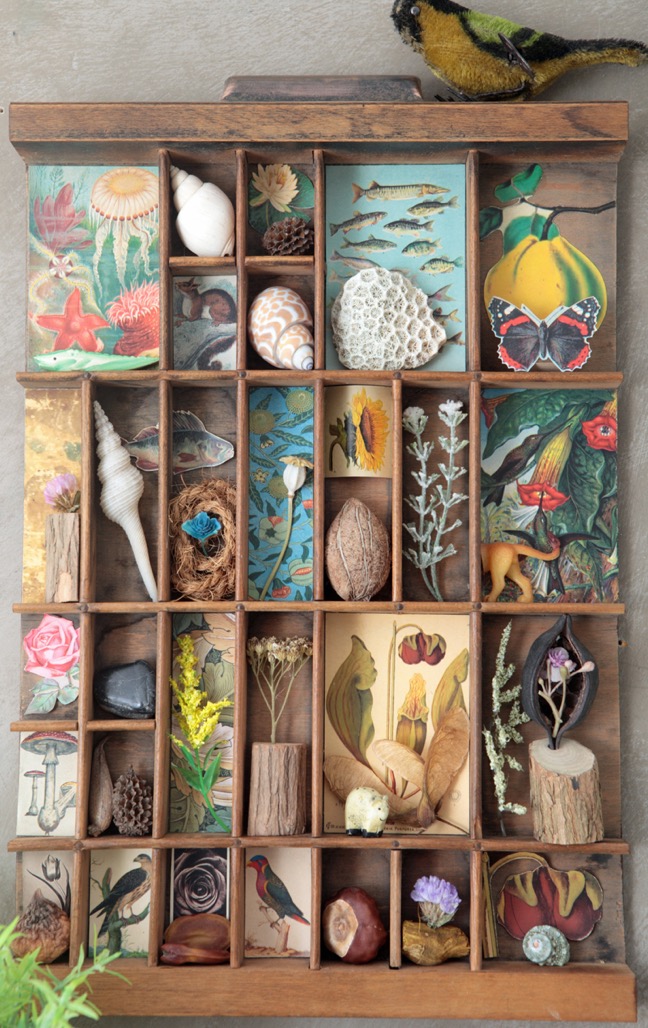 Colourful Quirky Nature themed printers tray artwork