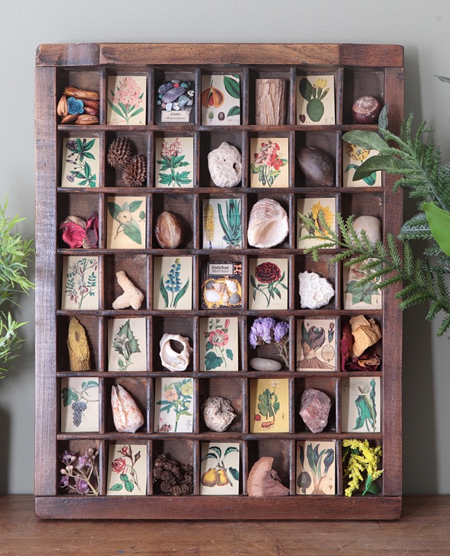 Lovely little collection of vintage floral prints and quirky little found items all displayed in an antique letterpress printers type case drawer
