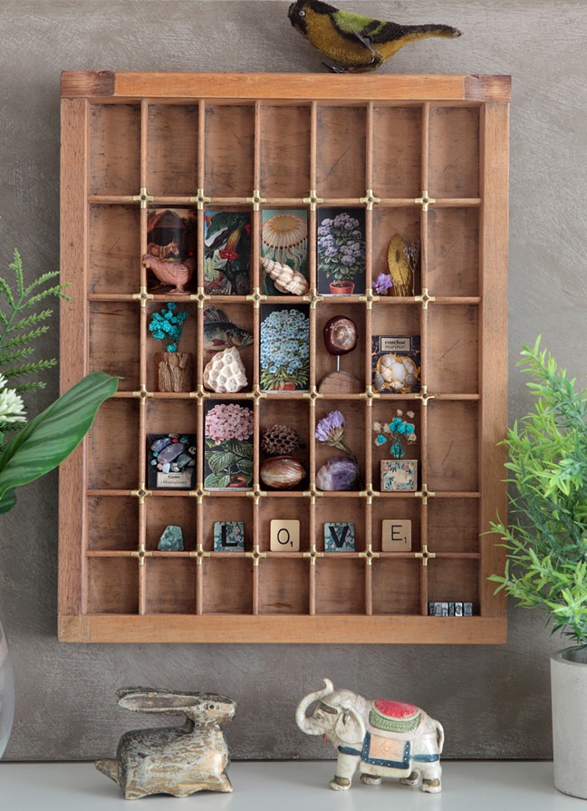 Old Letterpress printers tray used as a display for little quirky nature items